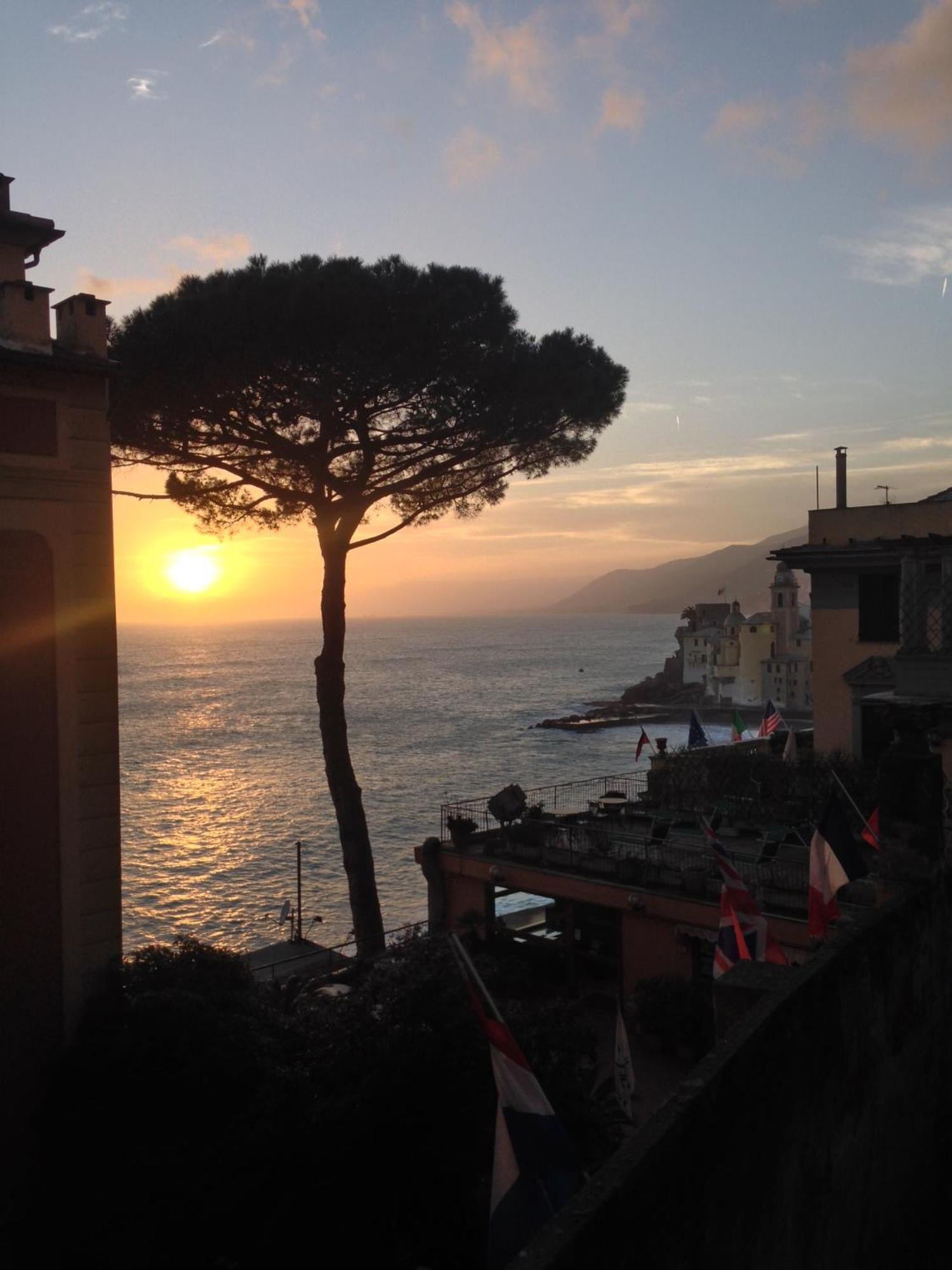 A Un Passo Dal Mare Daire Camogli Dış mekan fotoğraf